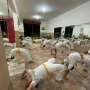 Foto 1:  Centro Cultural Zumbiarte Capoeira